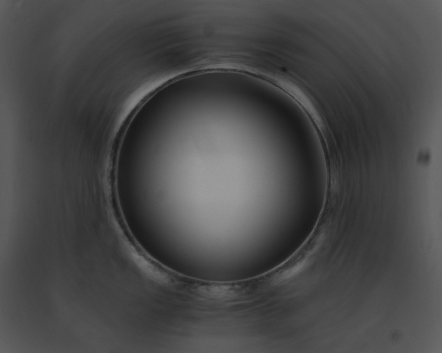 X0000091521149200708311243