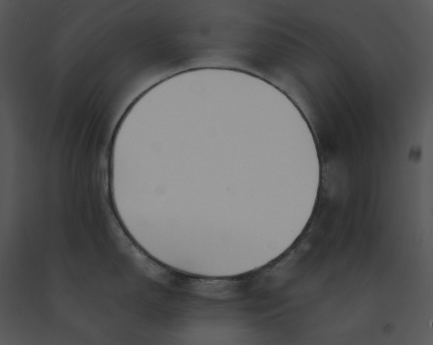 X0000091521150200708311243