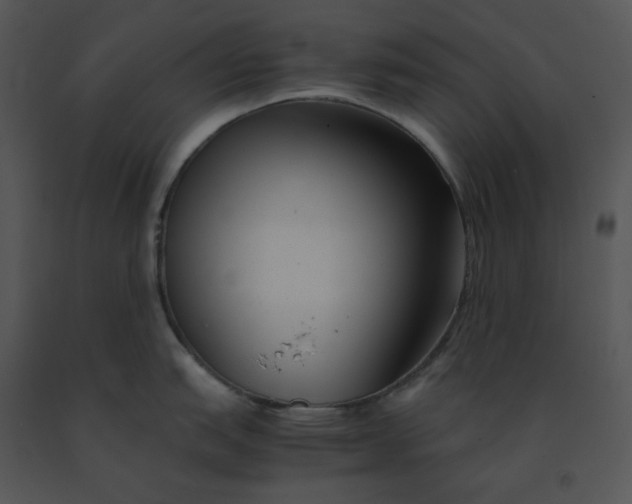 X0000091521151200708311243