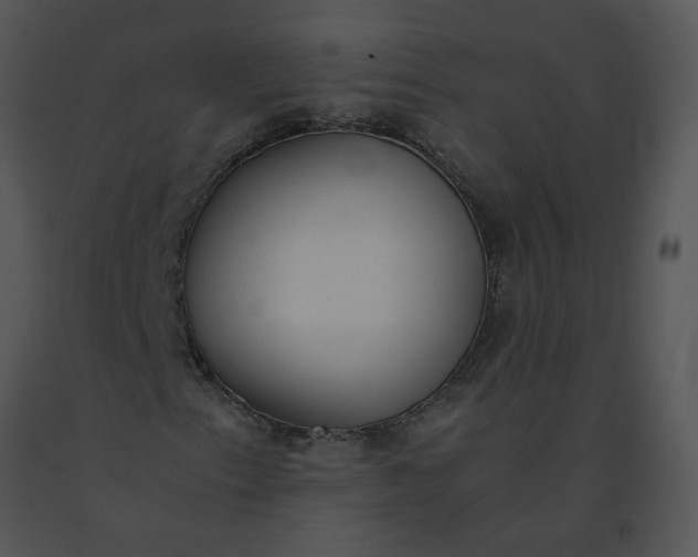 X0000091521153200708311242