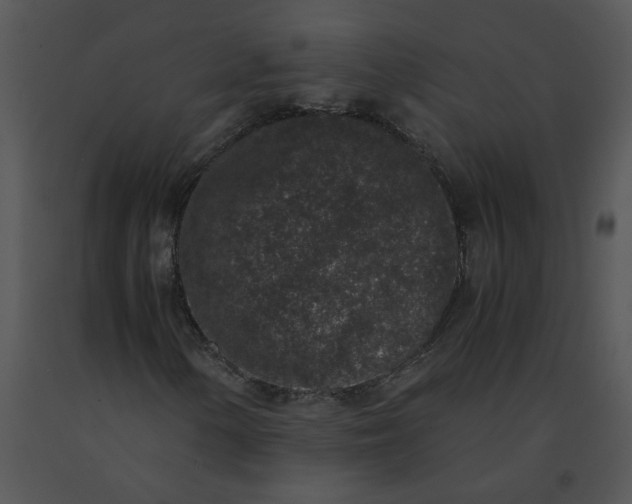 X0000091521154200708311242