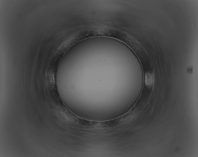 X0000091521155200708311242