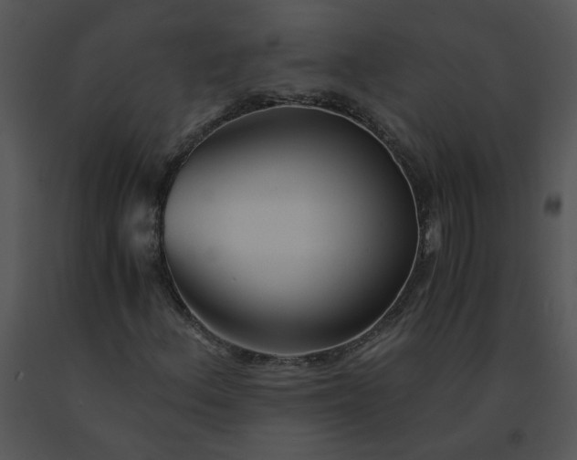 X0000091521156200708311242