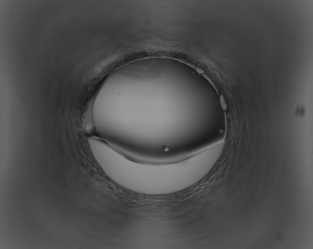 X0000091521157200708311242