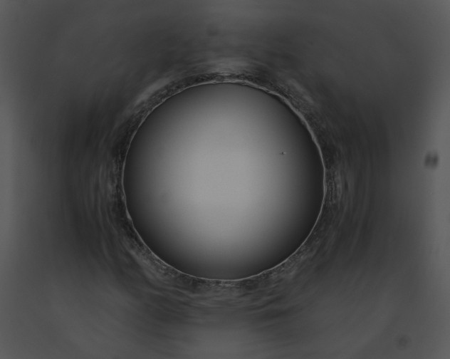 X0000091521158200708311242