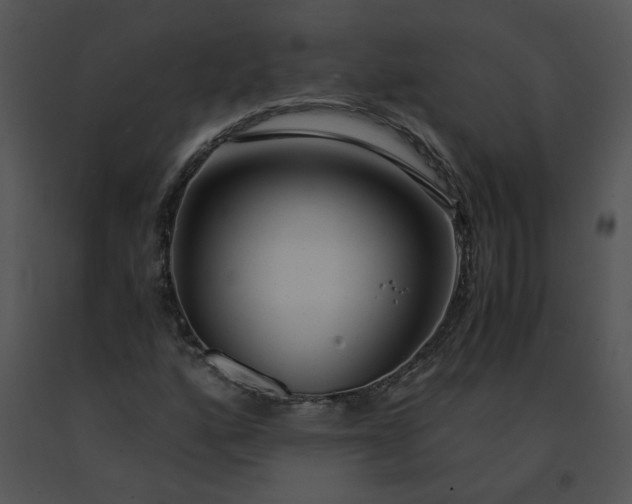 X0000091521160200708311242