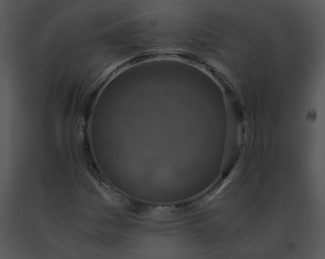 X0000091521161200708311242