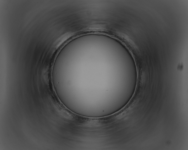 X0000091521162200708311242