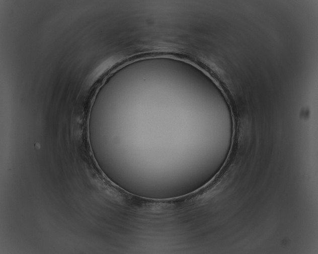 X0000091521163200708311242