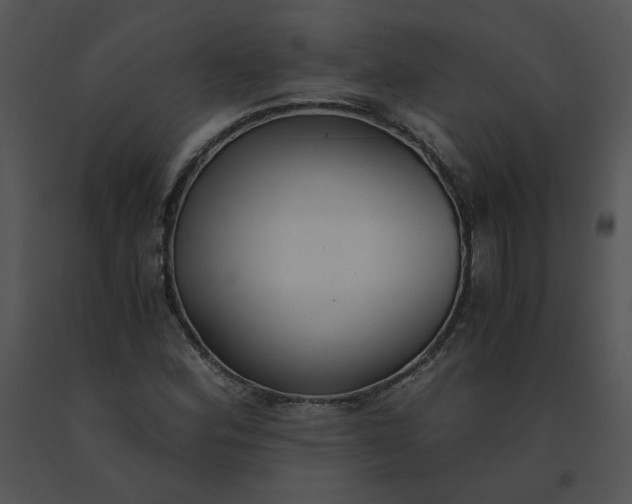 X0000091521164200708311242