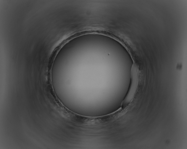 X0000091521165200708311242