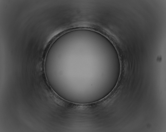 X0000091521166200708311242