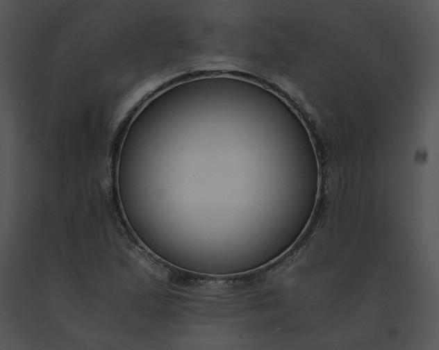 X0000091521167200708311242