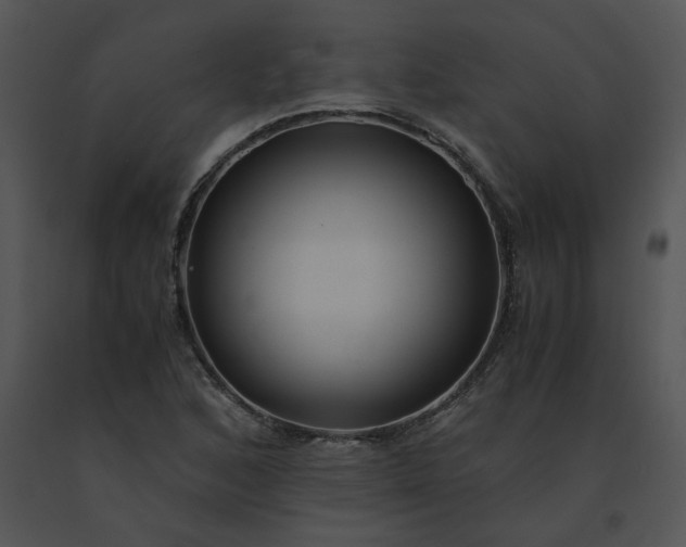 X0000091521168200708311242