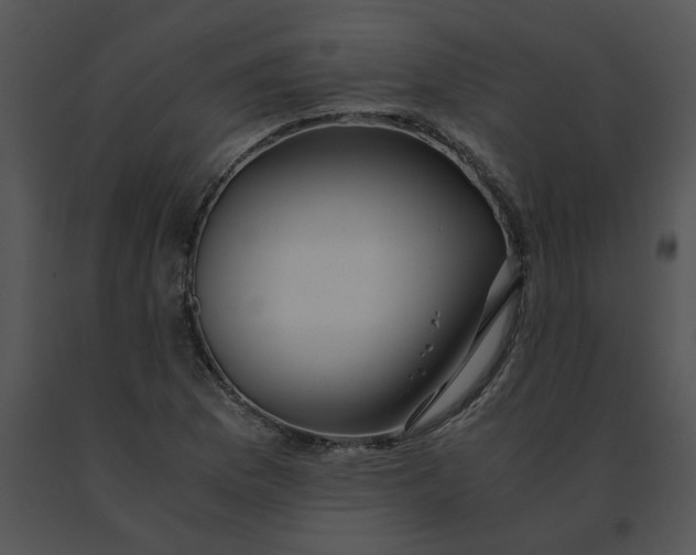 X0000091521169200708311242