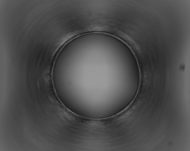 X0000091521170200708311242