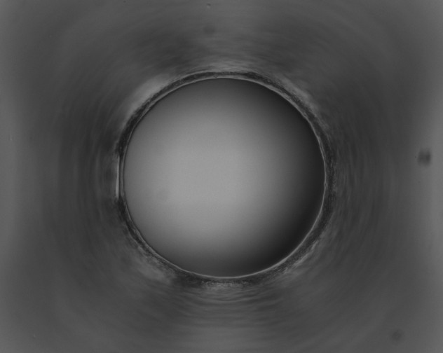 X0000091521171200708311242