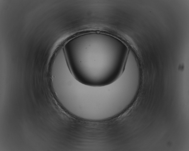 X0000091521172200708311242