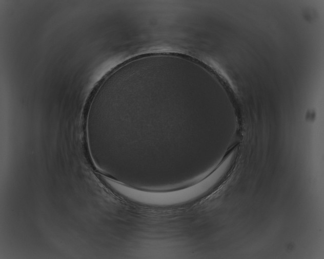 X0000091521173200708311242