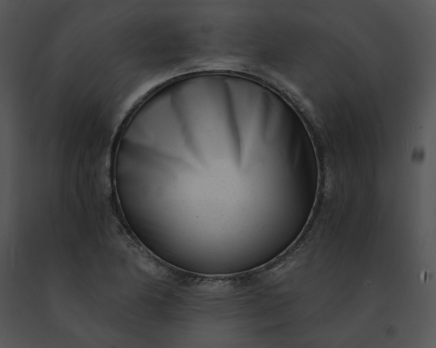 X0000091521174200708311242