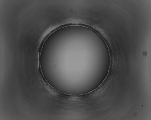 X0000091521175200708311242