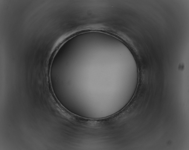 X0000091521176200708311242