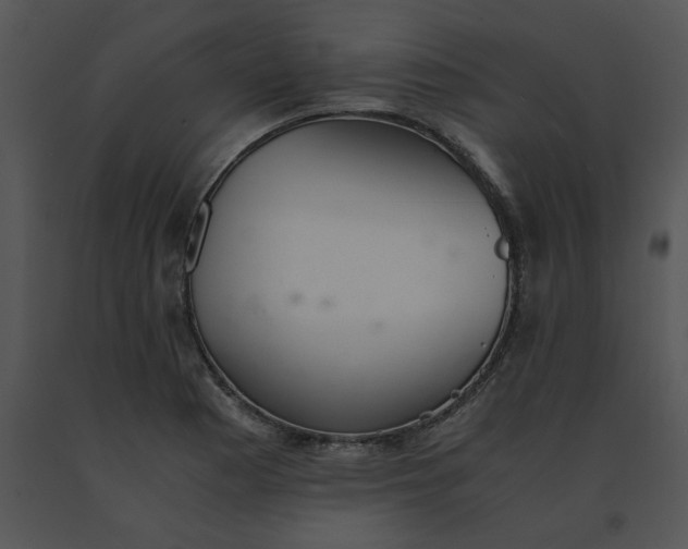 X0000091521177200708311242