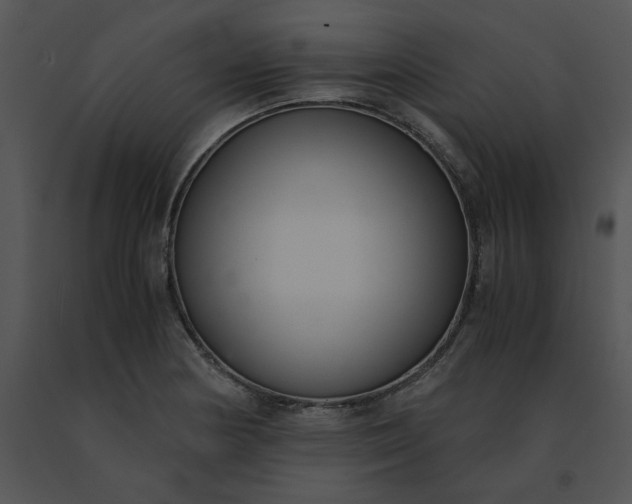 X0000091521178200708311242