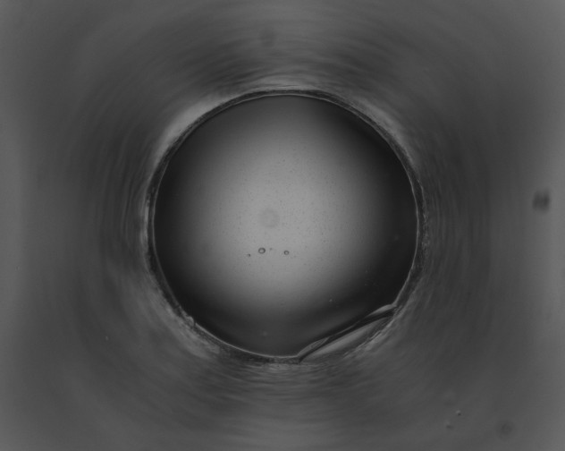 X0000091521179200708311242