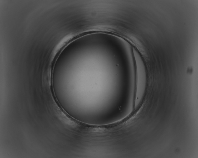 X0000091521180200708311242