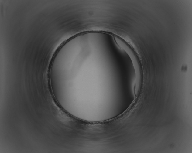 X0000091521181200708311242