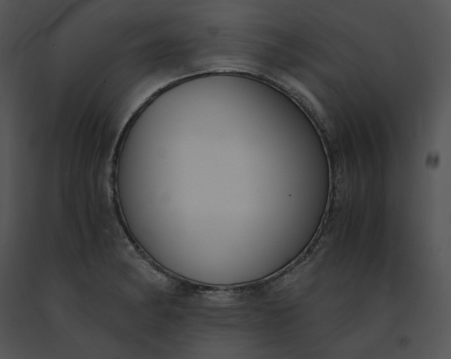 X0000091521182200708311242