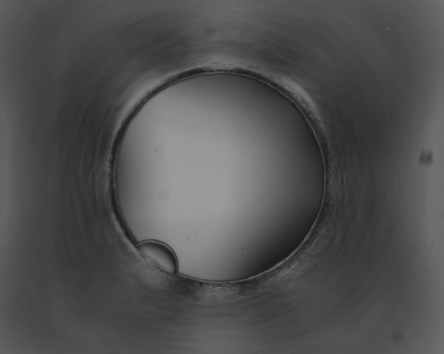 X0000091521183200708311242