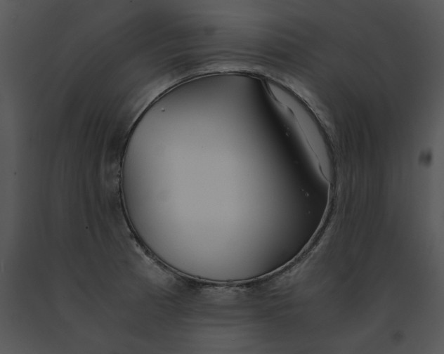 X0000091521185200708311242