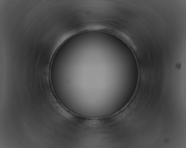 X0000091521186200708311242