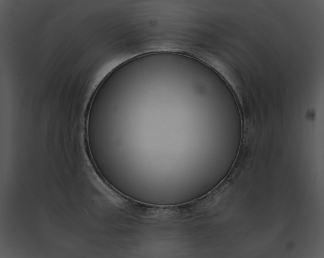 X0000091521187200708311242