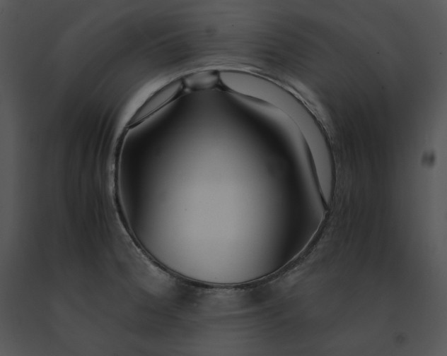 X0000091521188200708311242