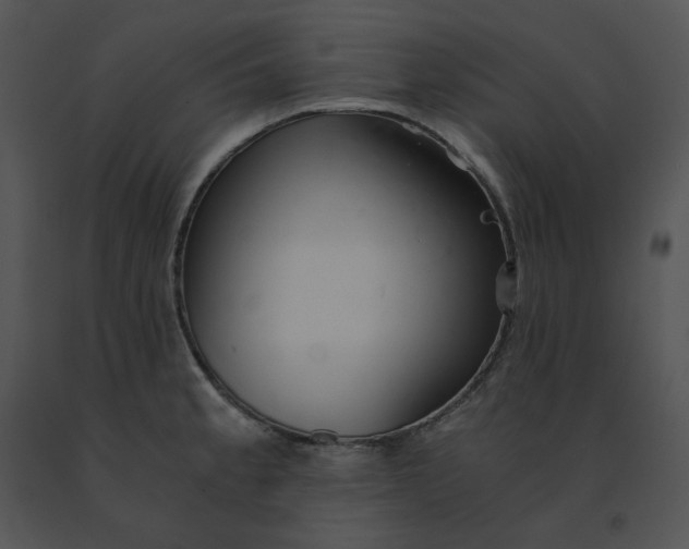 X0000091521189200708311242