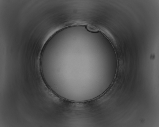 X0000091521190200708311242