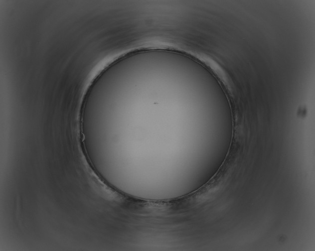 X0000091521191200708311242