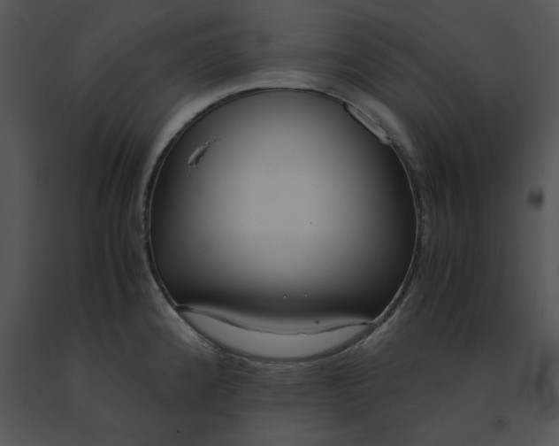 X0000091521192200708311242