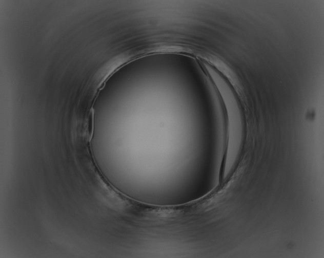 X0000091521193200708311242