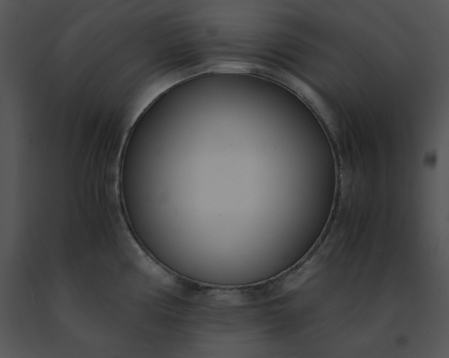 X0000091521194200708311242