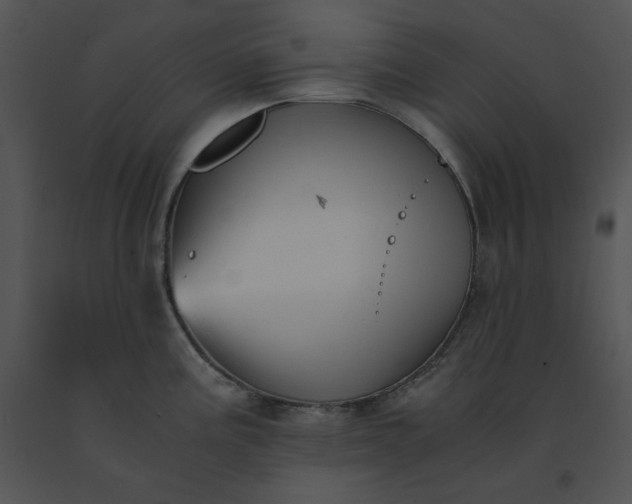 X0000091521195200708311242