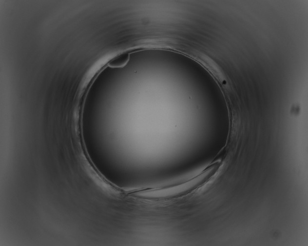 X0000091521196200708311242