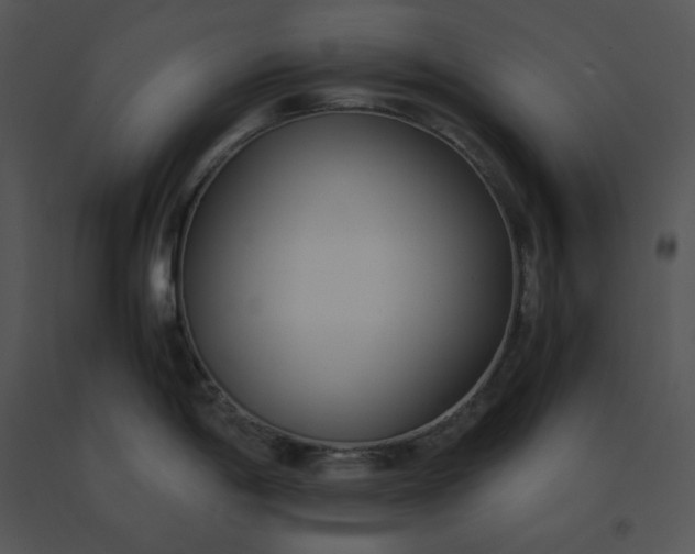 X0000091521198200708311242