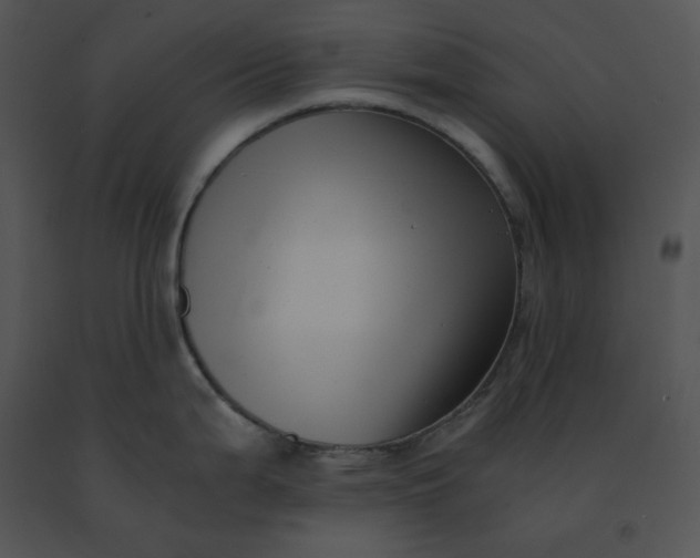 X0000091521199200708311242