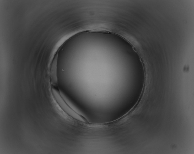 X0000091521200200708311242