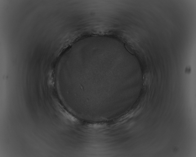 X0000091521202200708311241