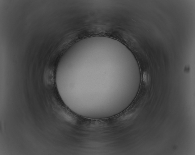 X0000091521203200708311241